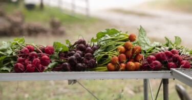 Harvest Delights: 6 Seasonal Cooking Ideas From Farm to Table