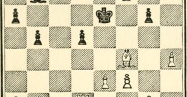 Chess Basics: Understanding Fundamental Misconceptions